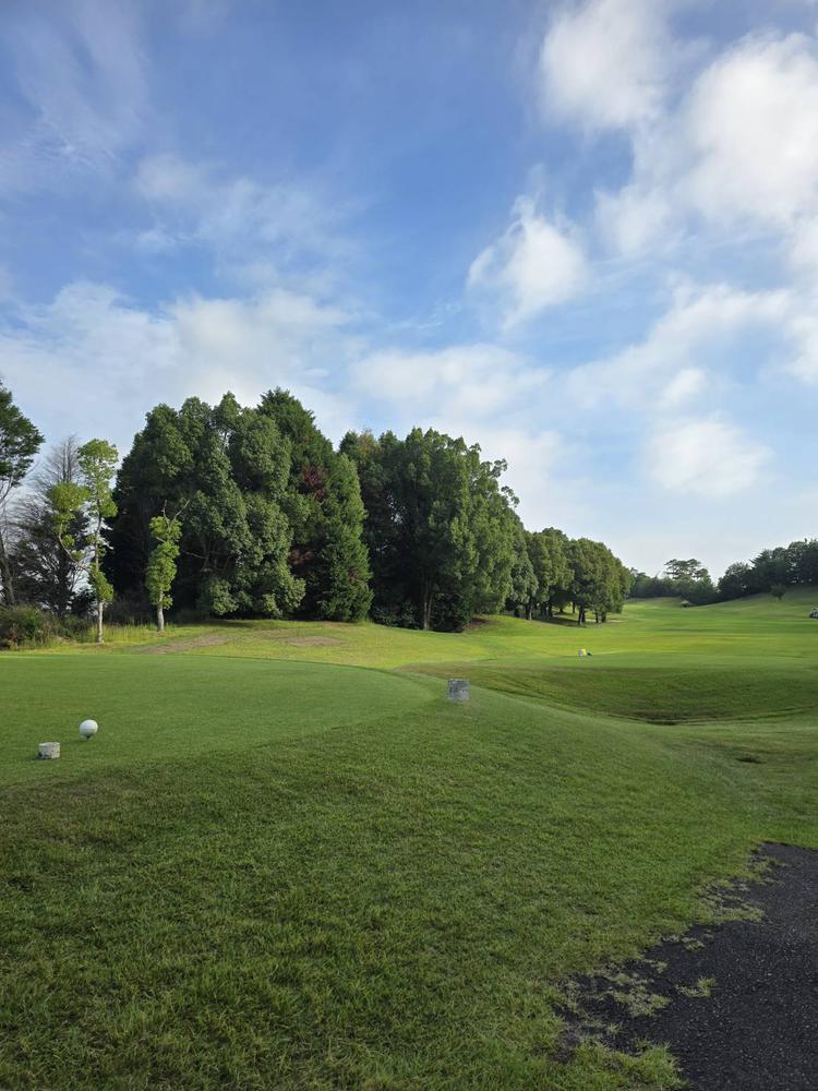 再開といえば🌈