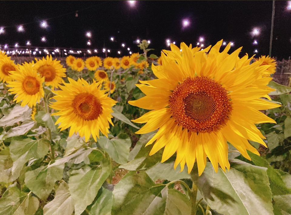 ❤️10/8（火）❤️