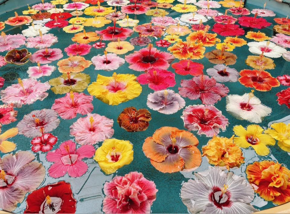 ❤️10/10(木)❤️