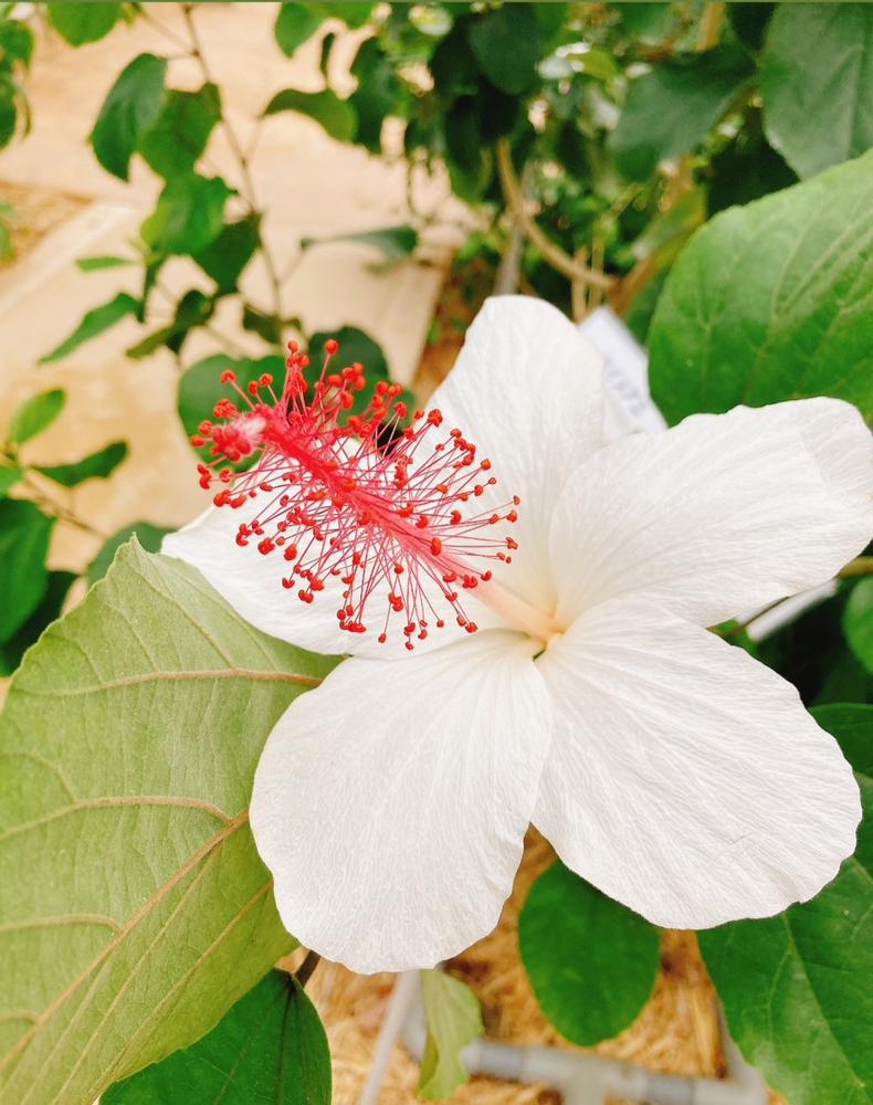 10月ラストです🎃🧡