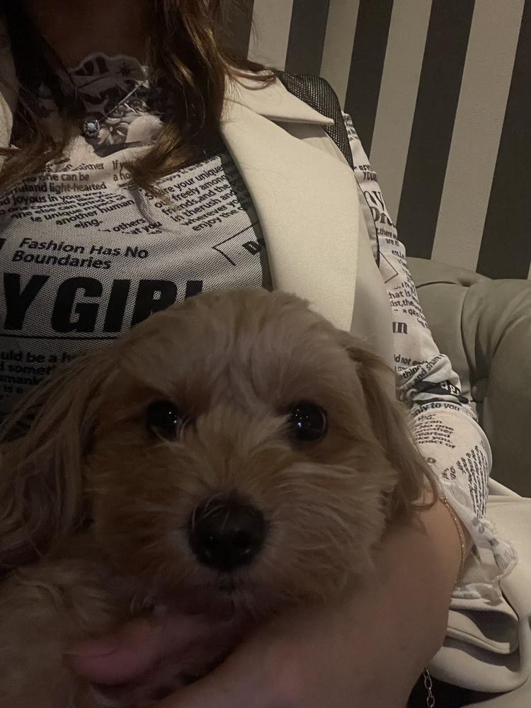 げつよーび☔️