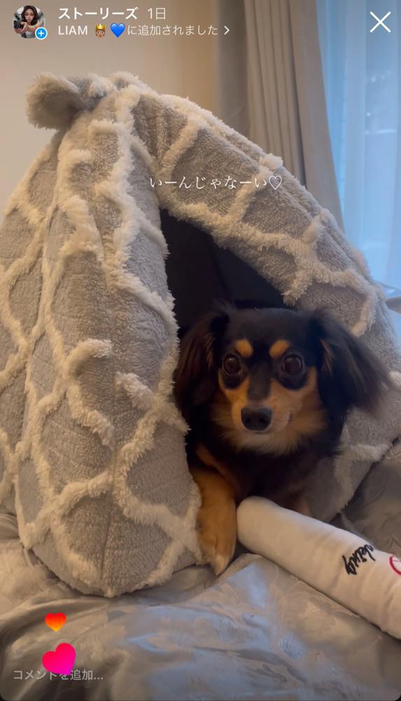 そちらの天気はどぅでしょうか..