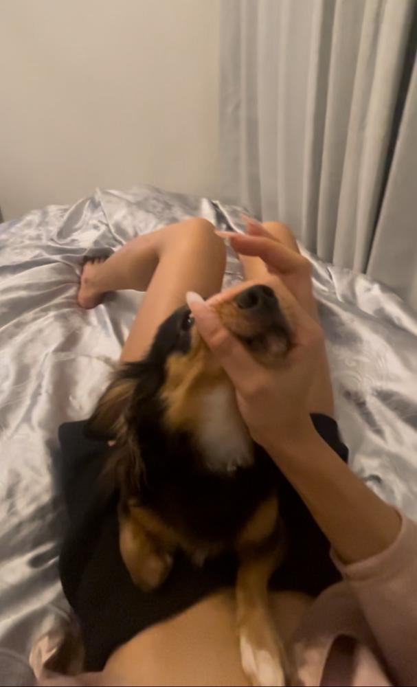 しょんべんたらし🥵