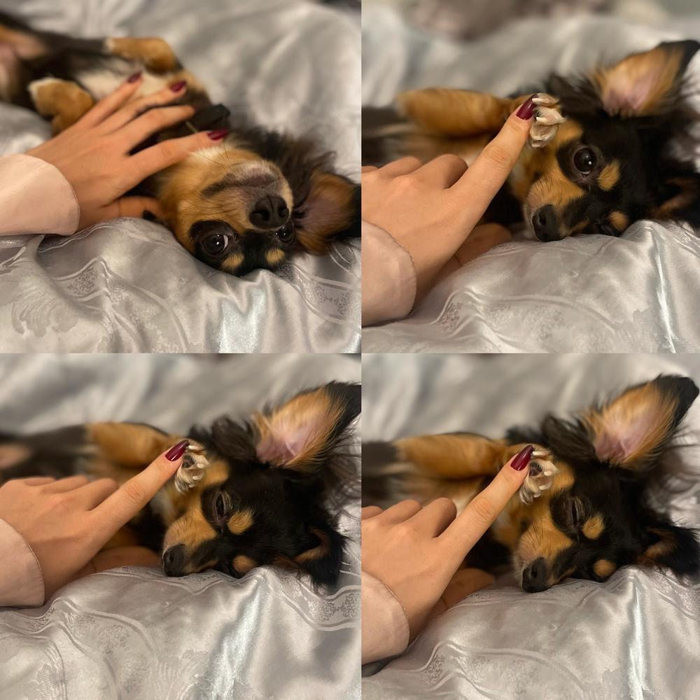 ショートスリーパーの俺との同居人