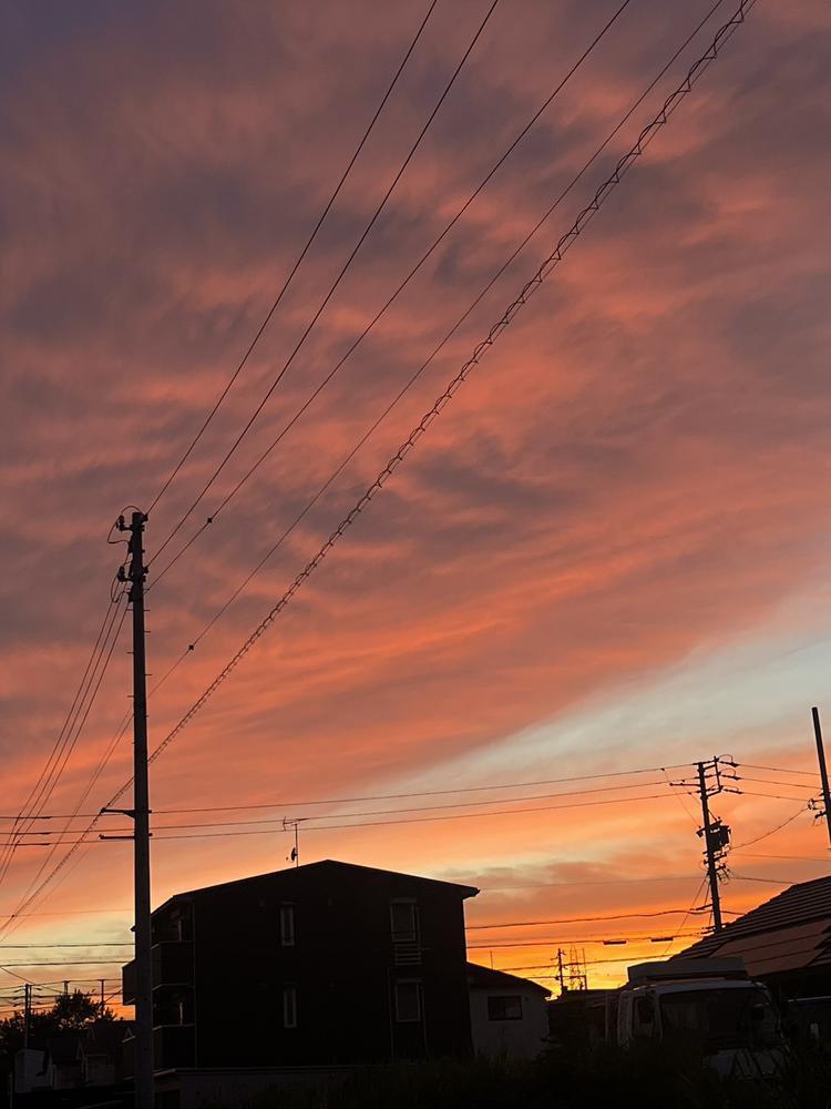 ゆりあしゅきん