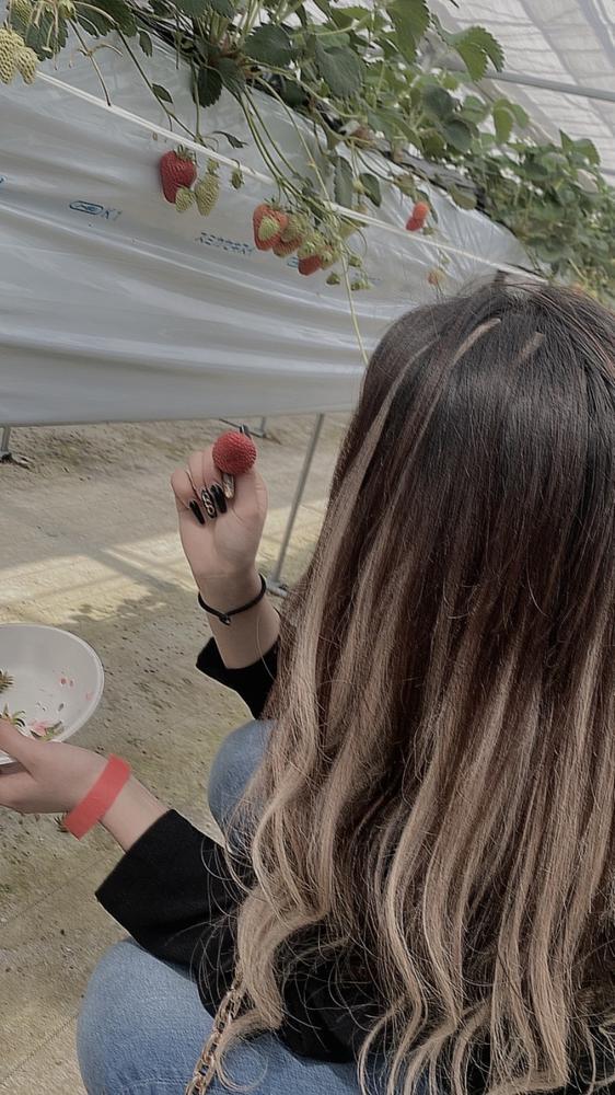 早く髪の毛伸びてほしい