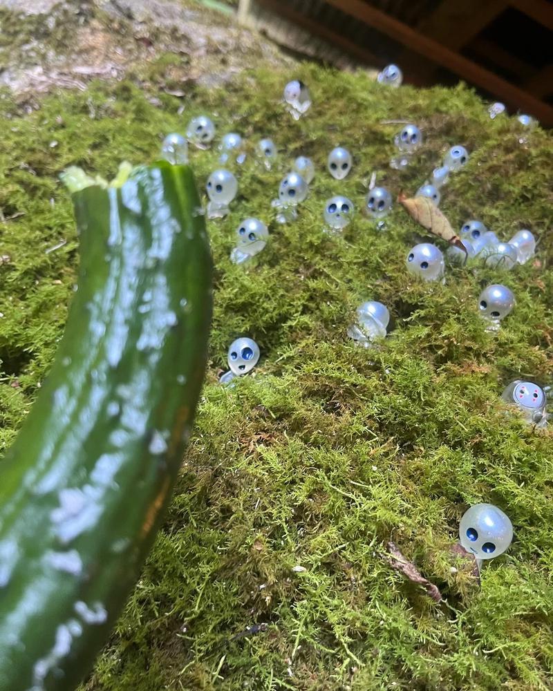 出勤したよー！