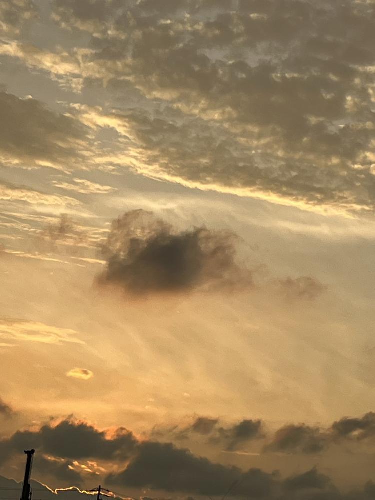 しゅっきんしたにょーーーん