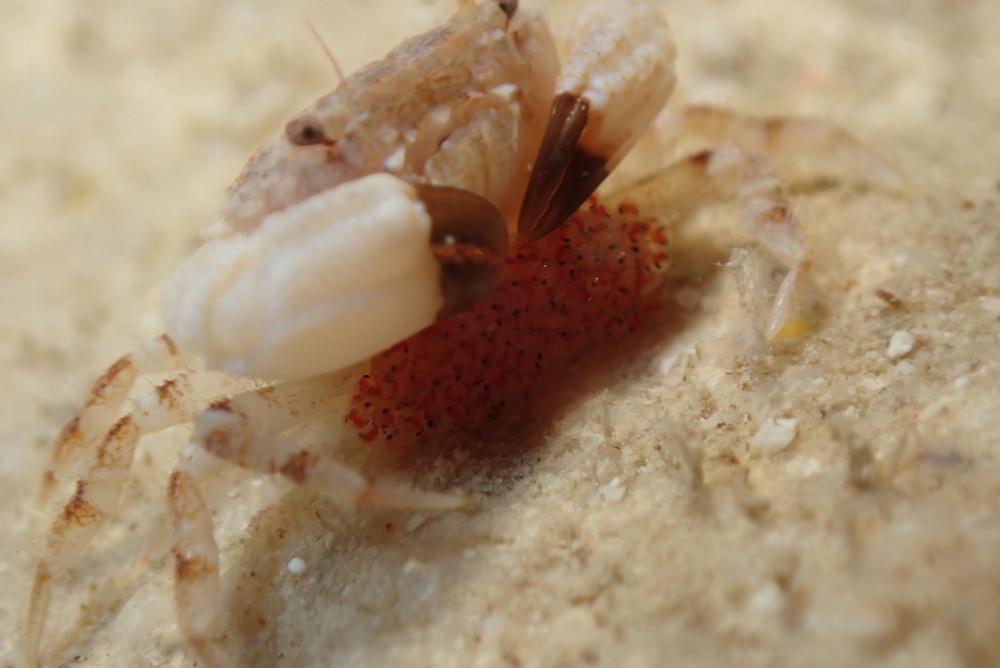 台風のような天気