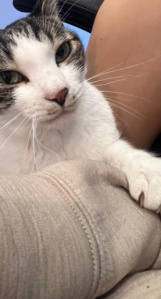 周年２日目は◯◯◯