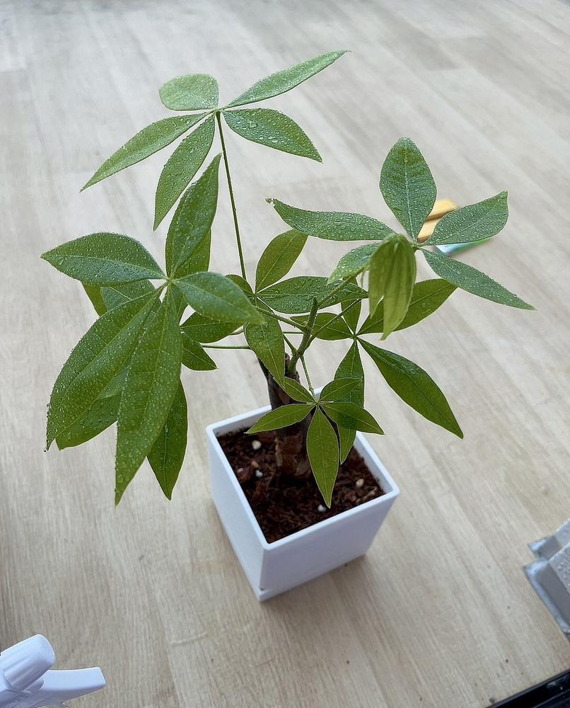 こんばんは☺️