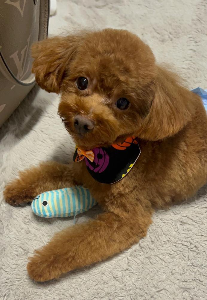 ナンパ迷惑なんですけど