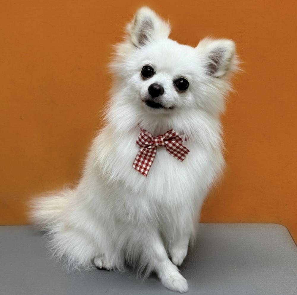 10月ありがとうございました🎃