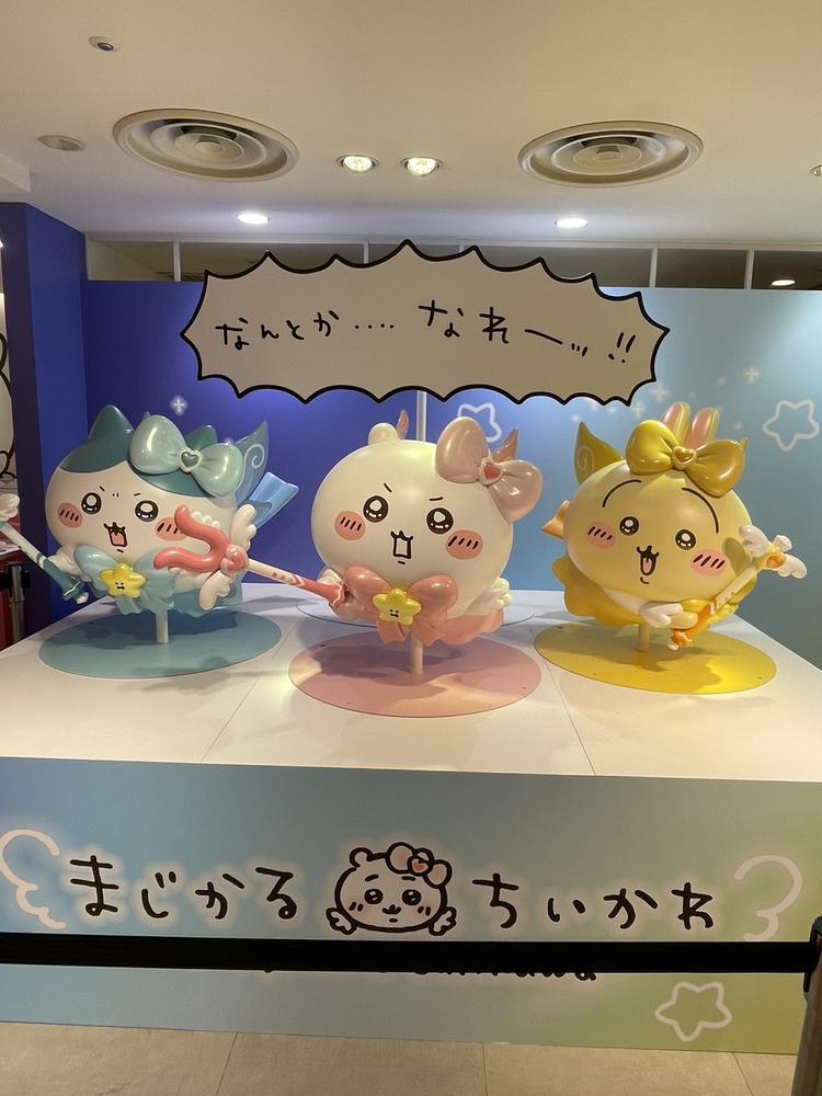 迷路すぎた😵‍💫