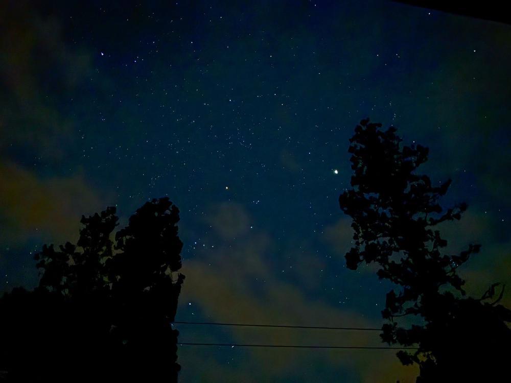 いいイチゴの日‼️