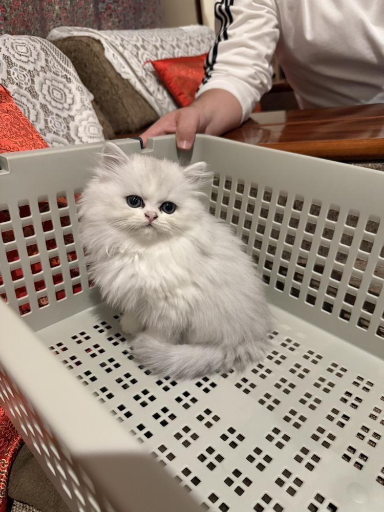 ごちそうさまでした♡