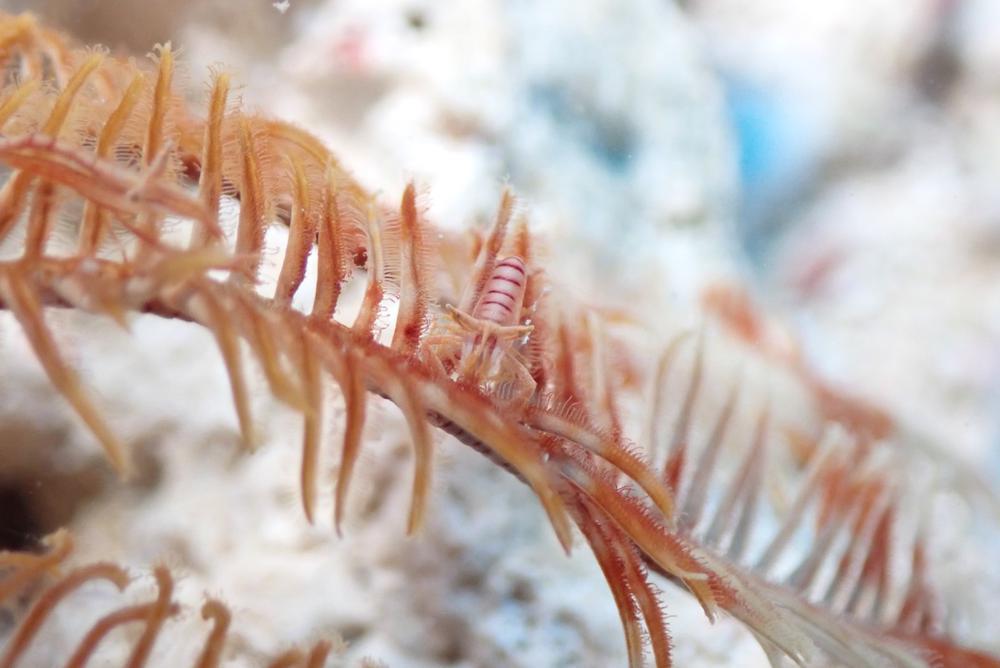 あら？あらあらあら？？