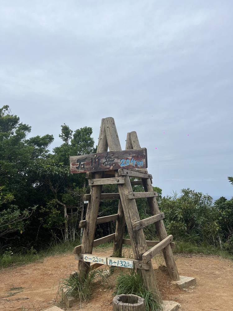 20時からいます💓