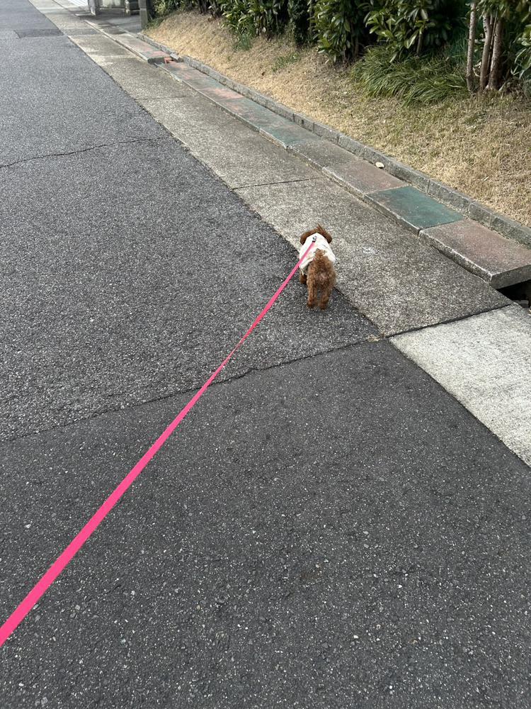 なにもしたくない