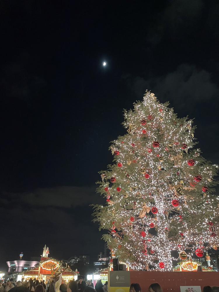 クリスマス気分🎄