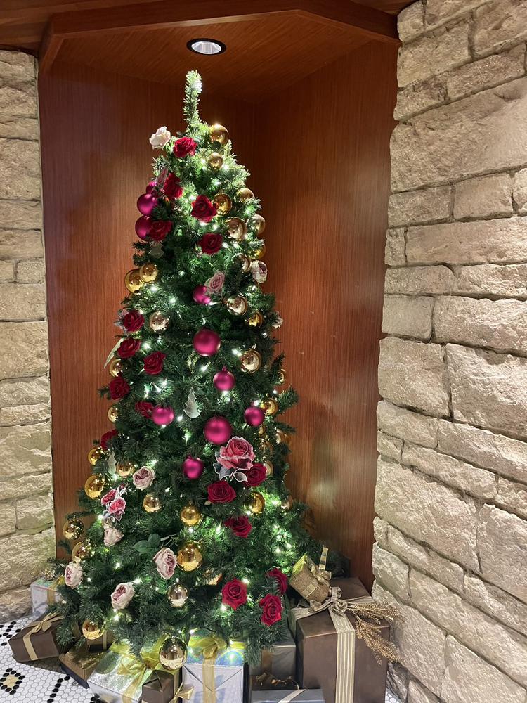 メリークリスマス🎄