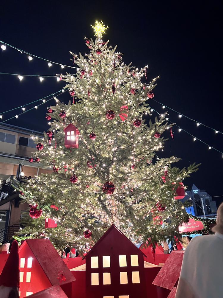 クリスマスイブ🎄