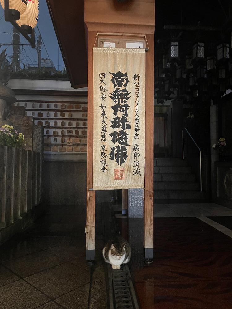 今年ももう残り少しだねー☃️