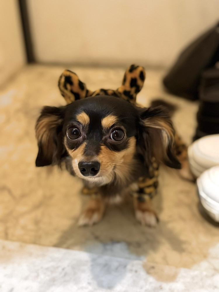 着こなせない漢