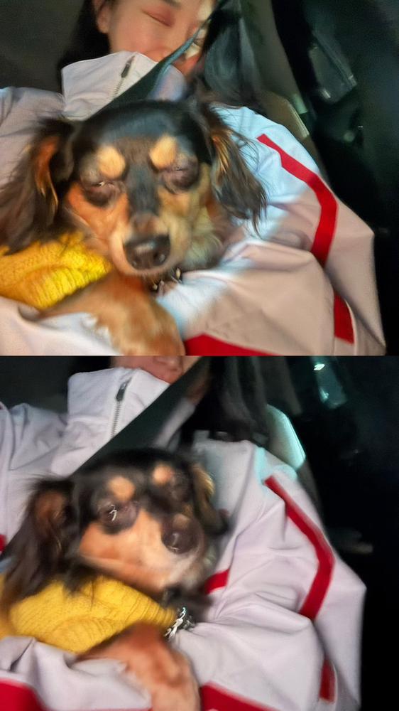 もはや、これが愛おしいw