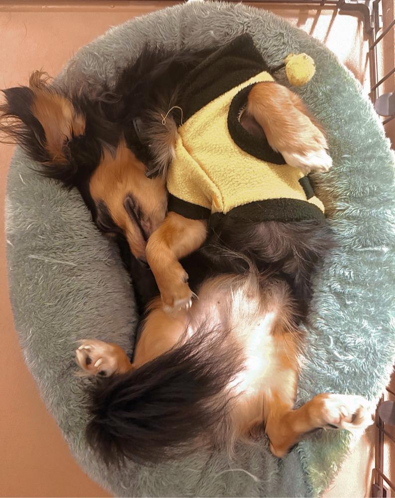 年末のおつかれダーリン