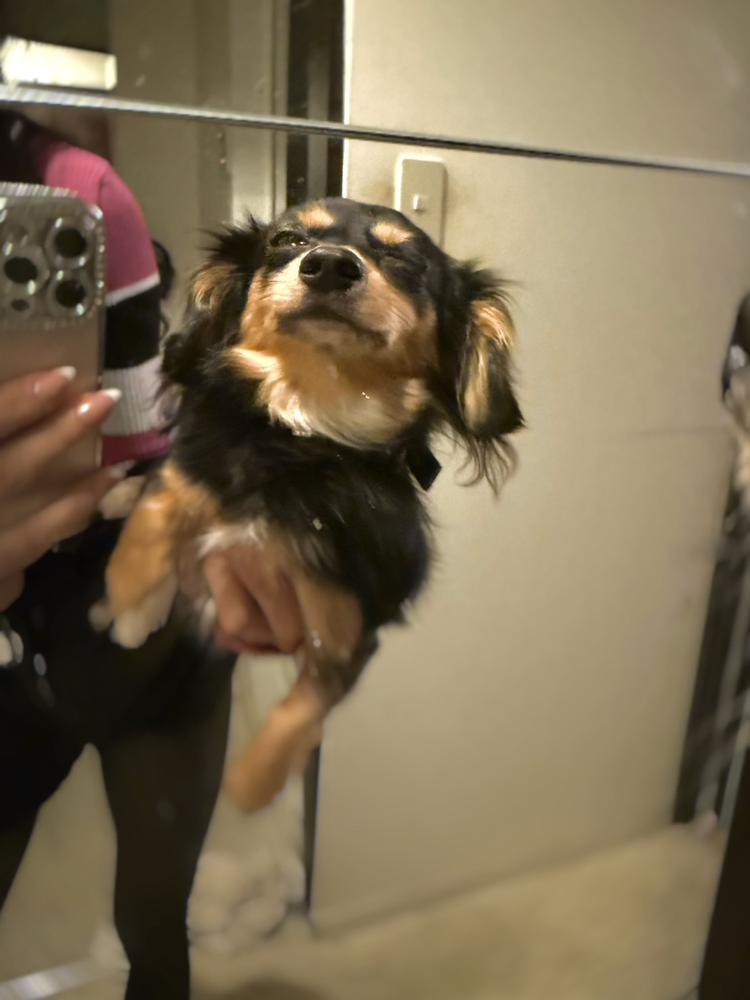 存在してるだけでありがとう