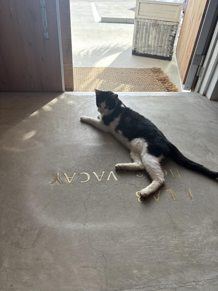 今日はいい天気☀️