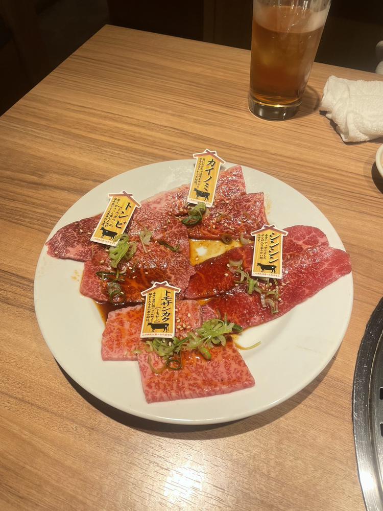 ♡ ••┈┈┈┈┈┈┈┈•• ♡