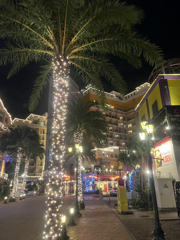 サンタコス꙳★*ﾟ.*･ﾟ　.ﾟ･*.🎄.*･ﾟ　.ﾟ･*.꙳★*ﾟ