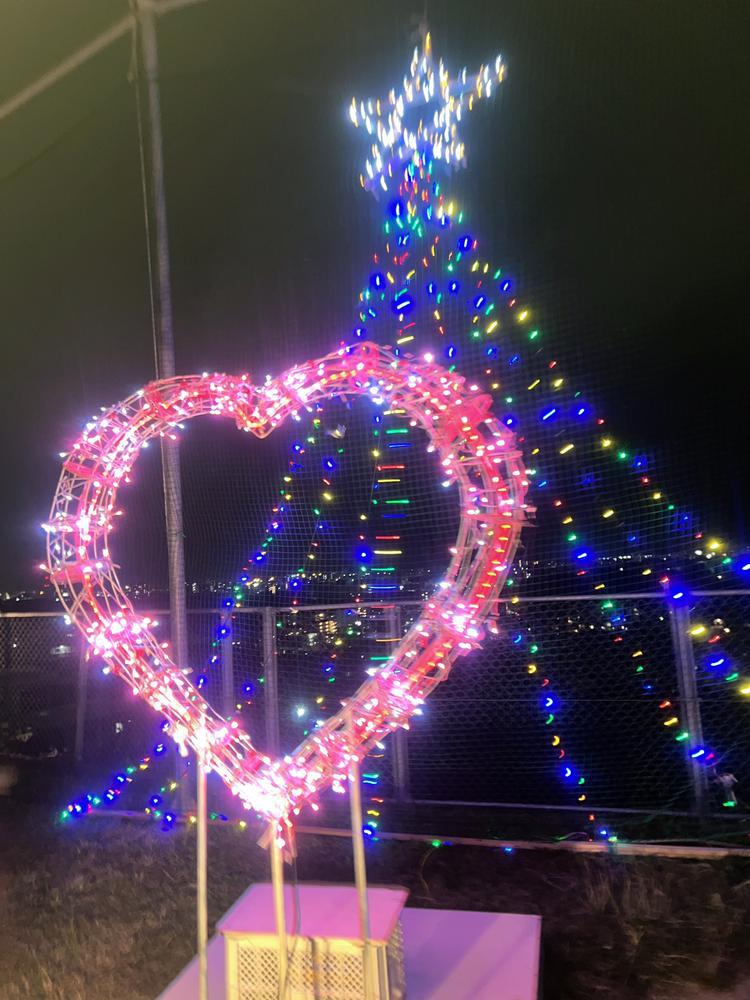 ꙳★*ﾟ.*･ﾟ　.ﾟ･*.🎄.*･ﾟ　.ﾟ･*.꙳★*ﾟ