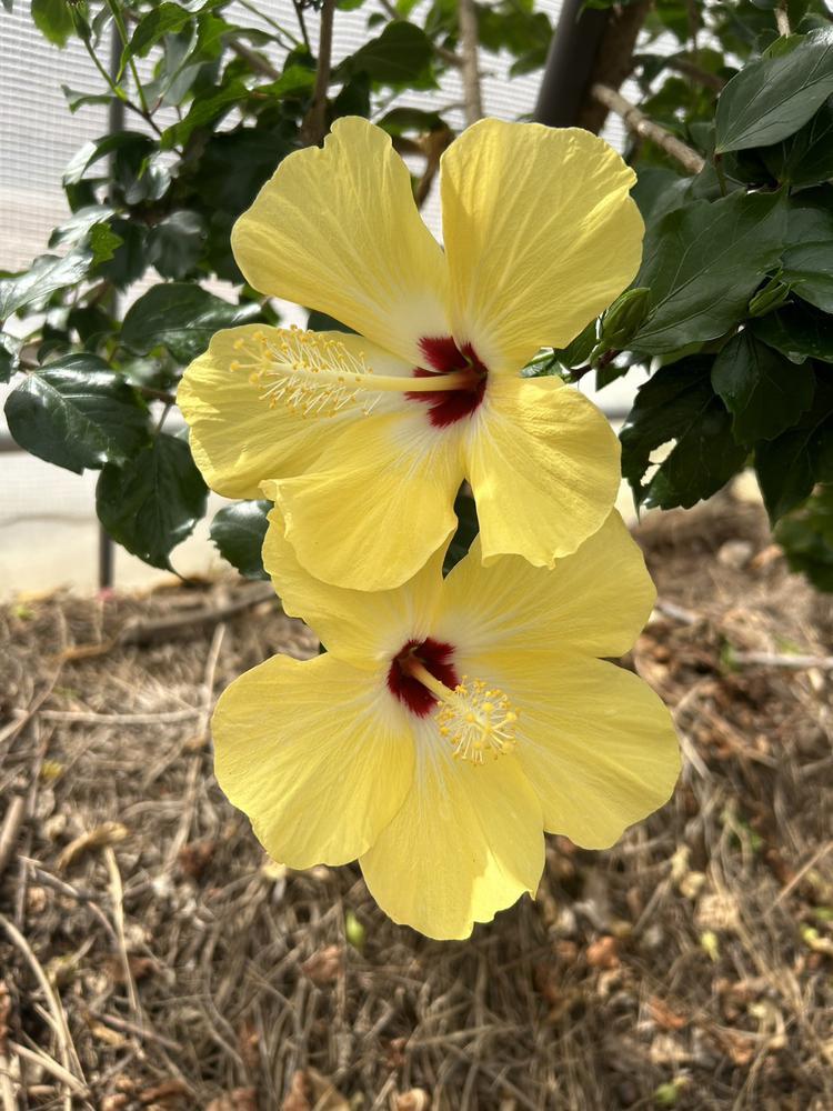 ユートピアファーム💗