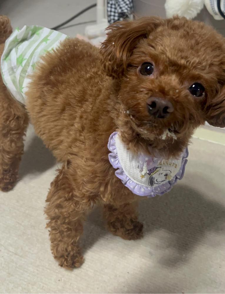 あけましておめでとうございます🌅