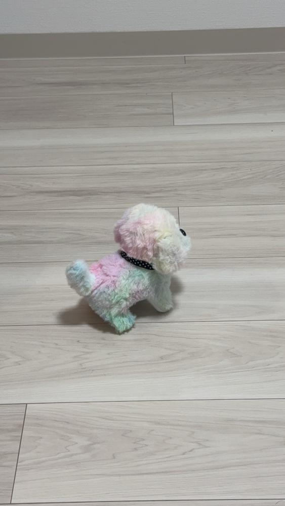 僕のわんちゃん🐶