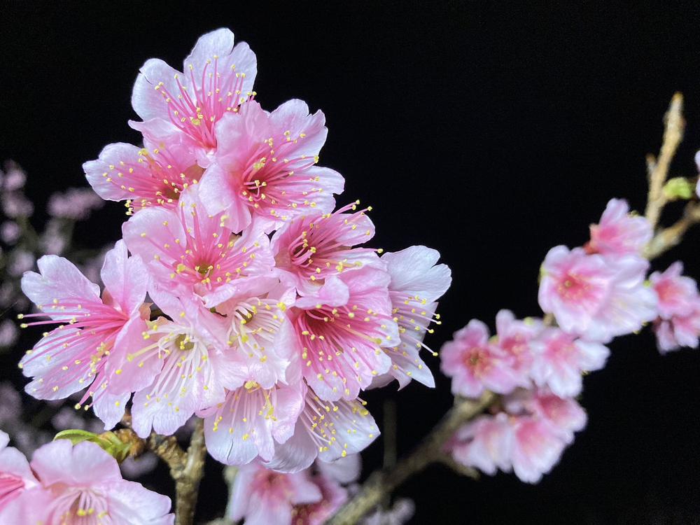 ♡こんばんは♡