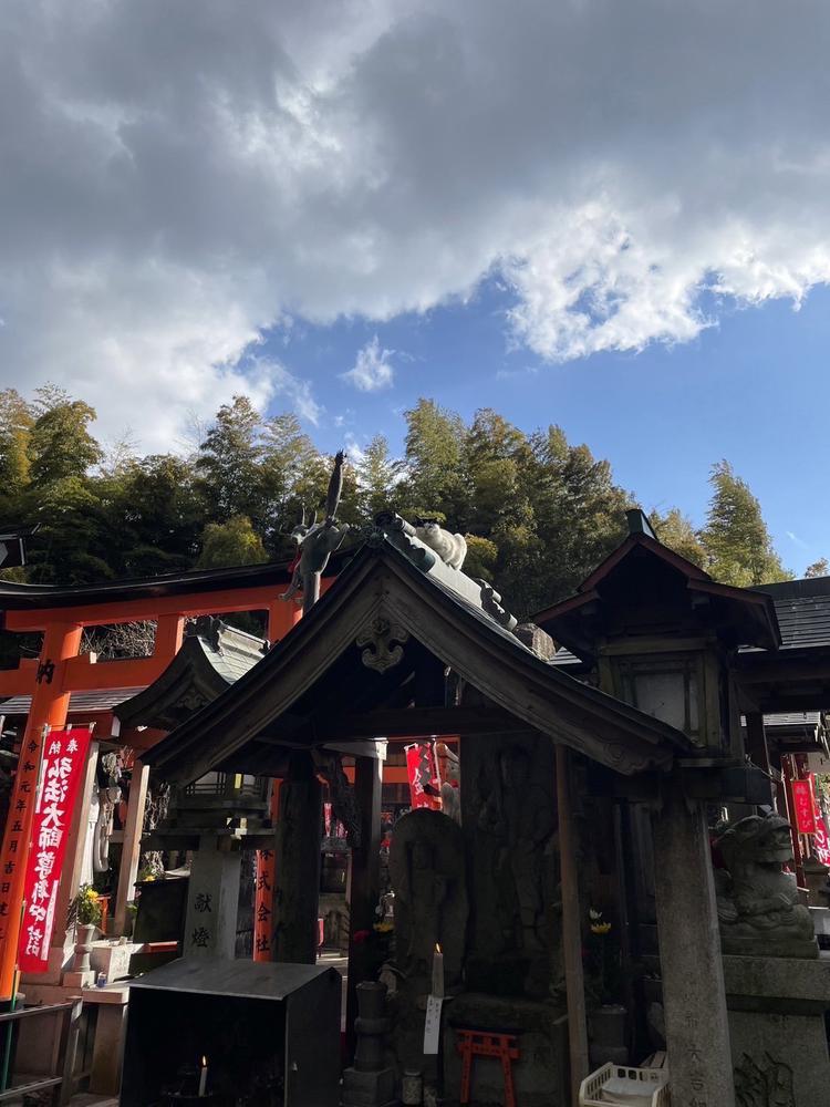 今日もいるよー⛩️