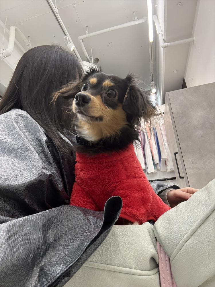 離脱症恐怖？？？