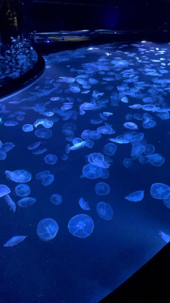 ♡ ••┈┈┈┈┈┈┈┈•• ♡