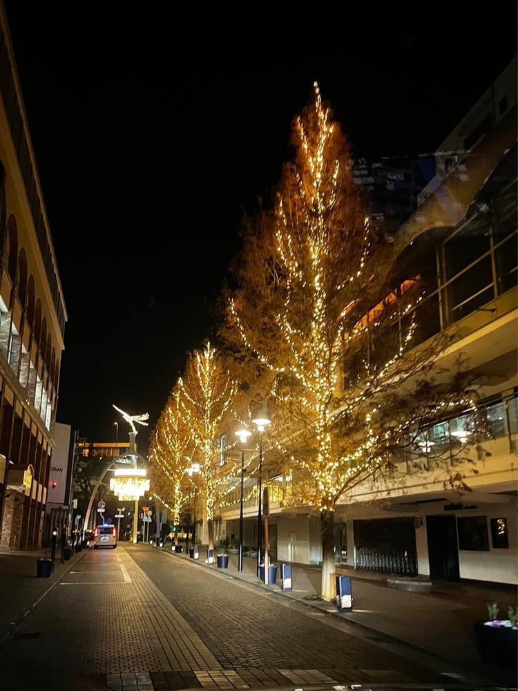 ♡ ••┈┈┈┈┈┈┈┈•• ♡