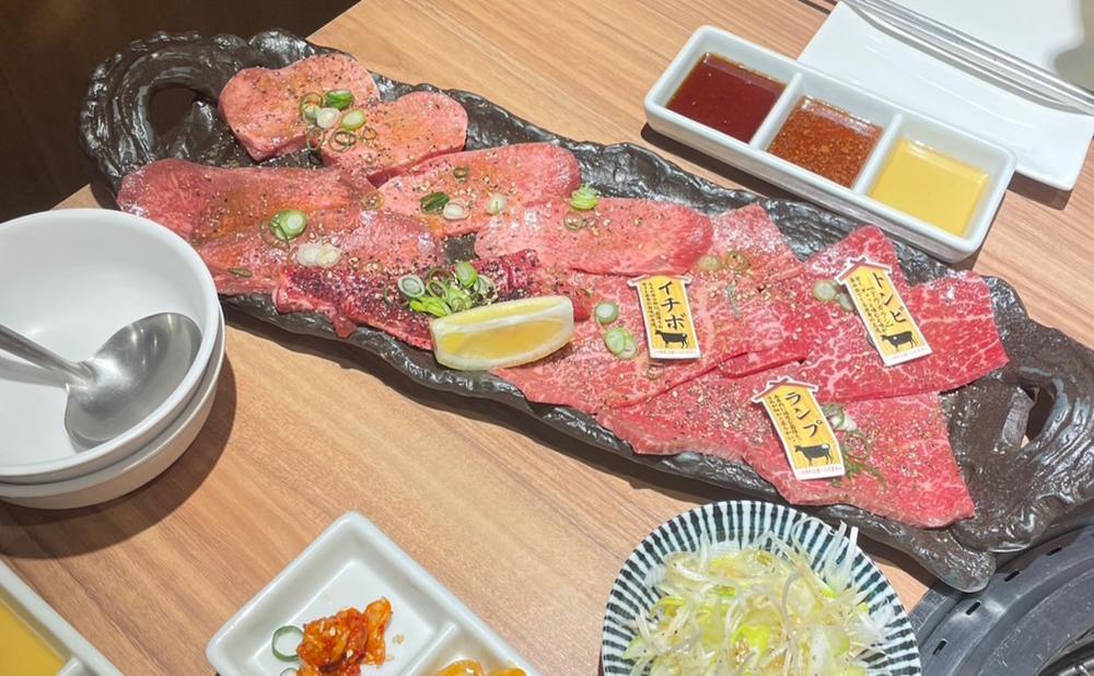 ♡ ••┈┈┈┈┈┈┈┈•• ♡