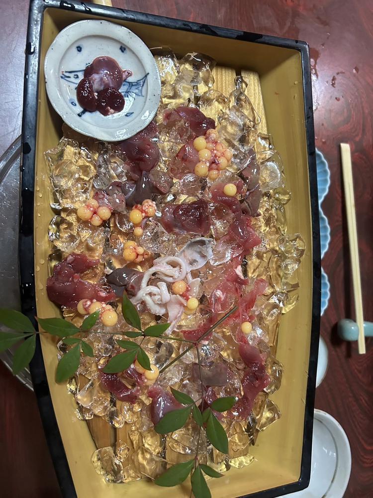 すっぽん🐢💗