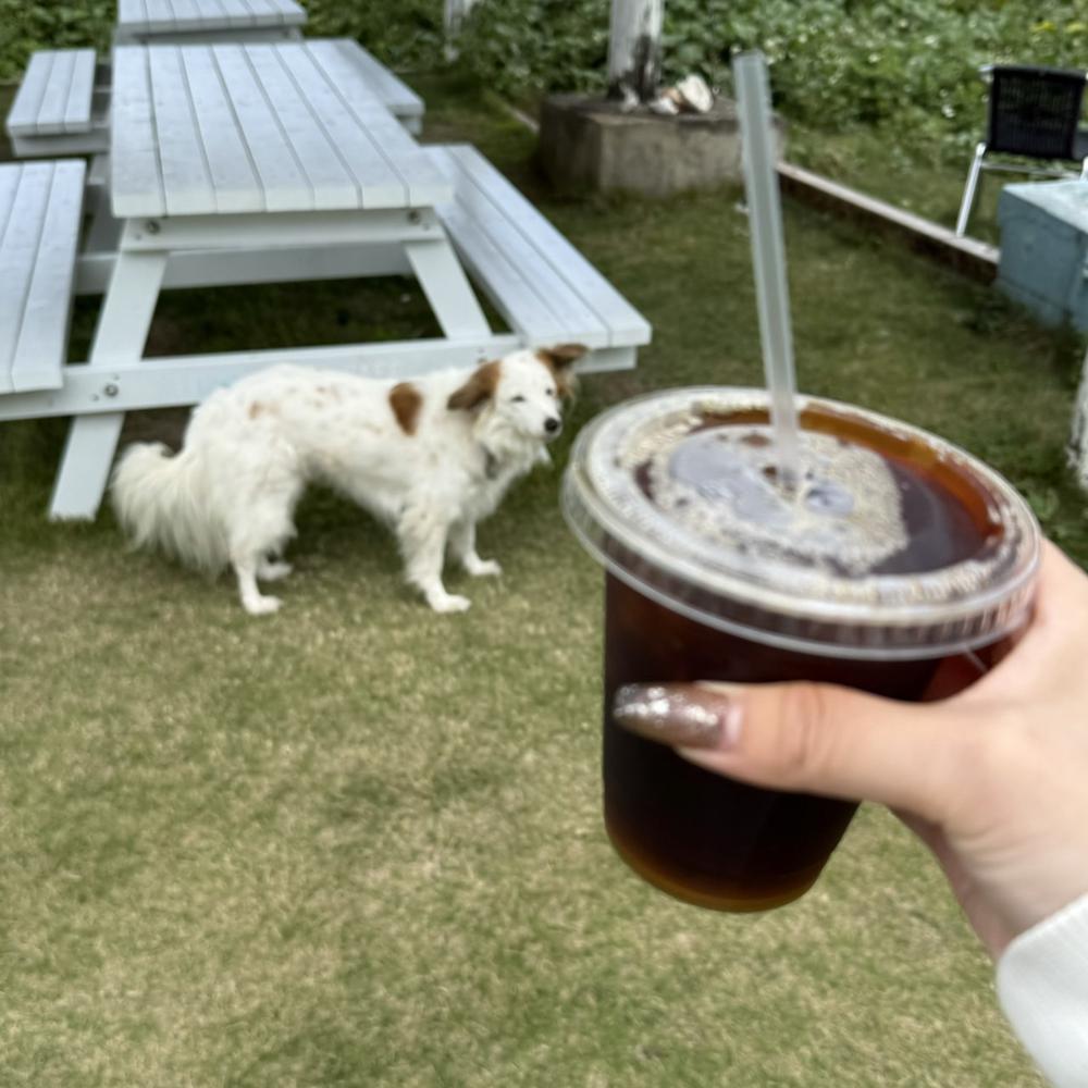 猫舌は冬でもアイスコーヒー♩