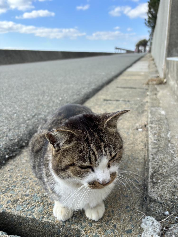20時出勤です❣️