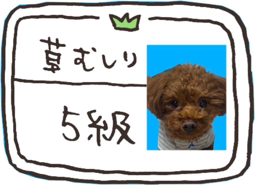 元カレ寺西拓人