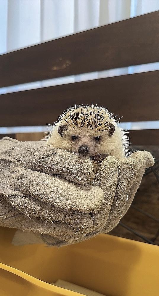 今週もはじまった