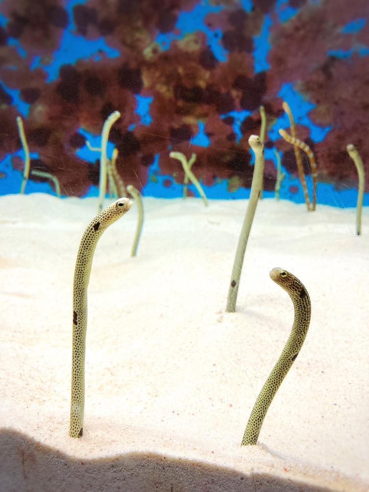 1年越しの再会👫